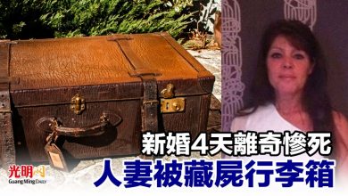 Photo of 新婚4天離奇慘死 人妻被藏屍行李箱