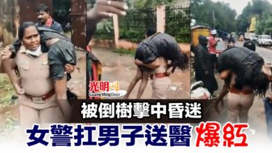 Photo of 被倒樹擊中昏迷 女警扛男子送醫爆紅