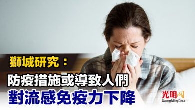 Photo of 獅城研究：防疫措施或導致人們 對流感免疫力下降