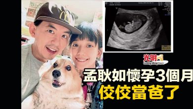 Photo of 孟耿如懷孕3個月 佼佼當爸了