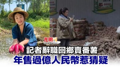 Photo of 記者辭職回鄉賣番薯 年售過億人民幣惹猜疑
