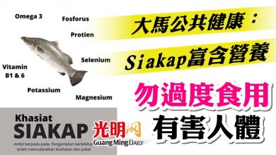 Photo of 大馬公共健康：Siakap富含營養  勿過度食用有害人體