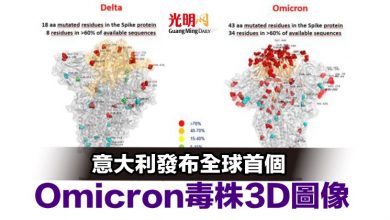 Photo of 意大利發布全球首個Omicron毒株3D圖像