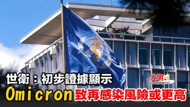 Photo of 世衛：初步證據顯示 Omicron致再感染風險或更高