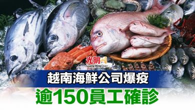 Photo of 越南海鮮公司爆疫 逾150員工確診