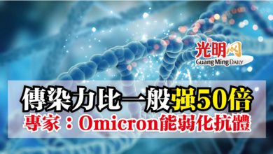 Photo of 傳染力比一般強50倍  專家：Omicron能弱化抗體