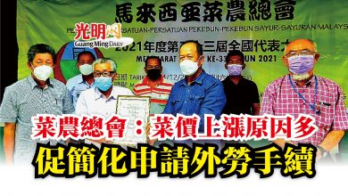 Photo of 菜農總會：菜價上漲原因多  促簡化申請外勞手續