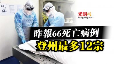 Photo of 昨報66死亡病例  登州最多12宗