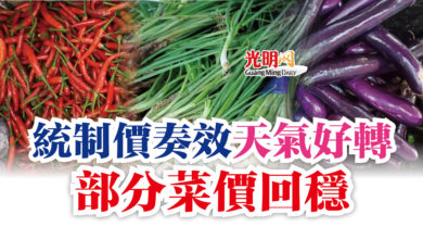 Photo of 統制價奏效天氣好轉  部分菜價回穩