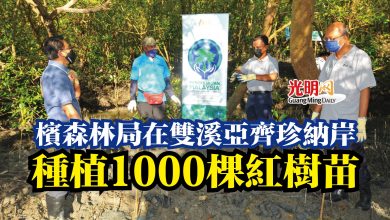 Photo of 檳森林局在雙溪亞齊珍納岸  種植1000棵紅樹苗