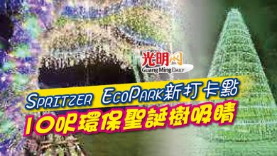 Photo of Spritzer EcoPark新打卡點 10呎環保聖誕樹吸睛