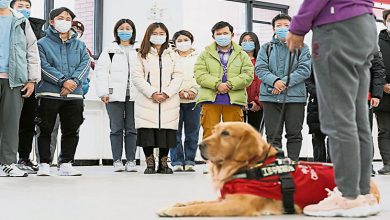 Photo of 北京冬奧會志願者培訓 雙線800人參與