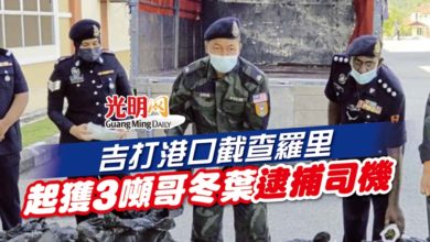 Photo of 吉打港口截查羅里 起獲3噸哥冬葉逮捕司機