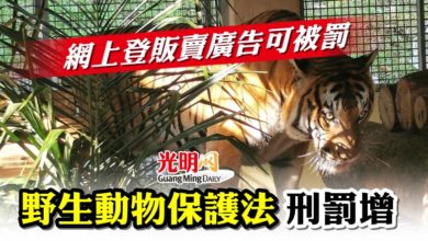 Photo of 網上登販賣廣告可被罰 野生動物保護法刑罰增