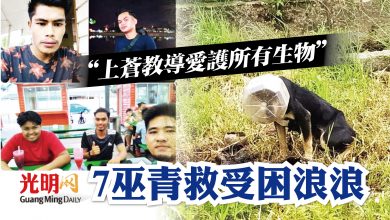 Photo of 塑料罐套頭多天未進食 7巫青救受困浪浪