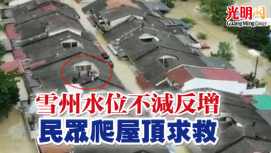 Photo of 雪州水位不減反增 民眾爬屋頂求救