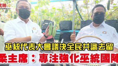 Photo of 巫統代表大會議決全民共識去留   柔主席：專注強化巫統國陣