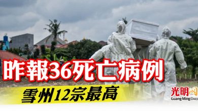 Photo of 昨報36死亡病例 雪州12宗最高