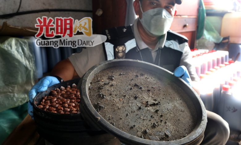 醬油廠製作醬油的蓋子出現老鼠屎。