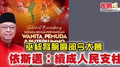Photo of 巫統臂膀區部今大會 依斯邁：續成人民支柱