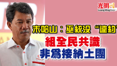 Photo of 末哈山：巫統沒“違約”  組全民共識非為接納土團