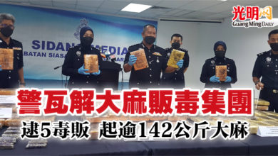 Photo of 警瓦解大麻販毒集團 逮5毒販起逾142公斤大麻