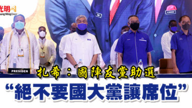 Photo of 扎希：國陣友黨助選   “絕不要國大黨讓席位”