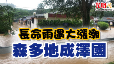 Photo of 長命雨遇大漲潮 森多地成澤國