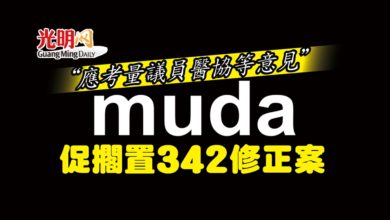 Photo of “應考量議員醫協等意見” MUDA促擱置342修正案
