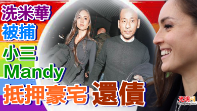 Photo of 洗米華被捕 小三Mandy抵押豪宅還債