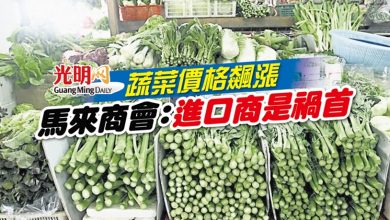 Photo of 蔬菜價格飆漲 馬來商會：進口商是禍首