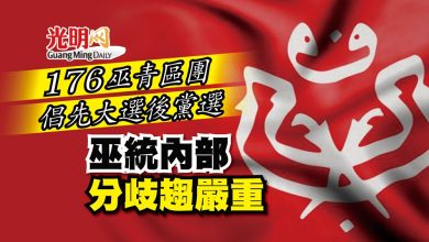 Photo of 176巫青區團倡先大選後黨選 巫統內部分歧趨嚴重