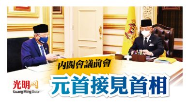 Photo of 內閣會議前會  元首接見首相