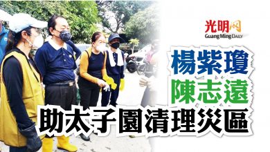 Photo of 楊紫瓊陳志遠 助太子園清理災區