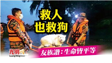 Photo of 救人也救狗 友族讚：生命皆平等