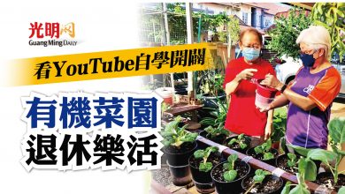 Photo of 看YouTube自學 退休人士闢有機菜園