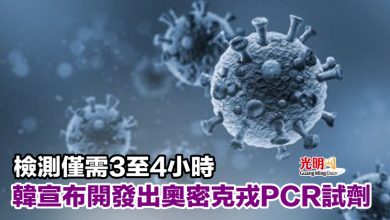 Photo of 檢測僅需3至4小時 韓宣布開發出奧密克戎PCR試劑
