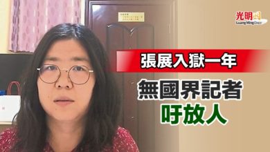 Photo of 張展入獄一年  無國界記者吁放人