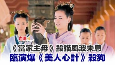 Photo of 《當家主母》殺貓風波未息 臨演爆《美人心計》殺狗