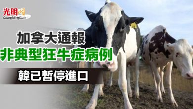 Photo of 加拿大通報非典型狂牛症病例 韓已暫停進口