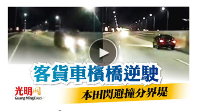Photo of 【內附視頻】客貨車檳橋逆駛 本田為閃避撞分界堤