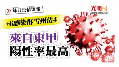 Photo of +6感染群雪州佔4 來自東甲陽性率最高