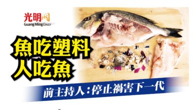 Photo of 魚吃塑料 人吃魚 前主持人：停止禍害下一代