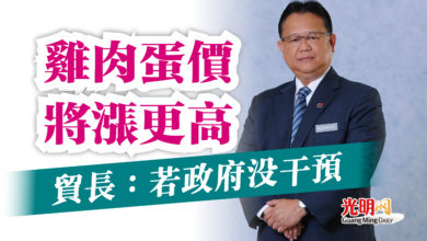 Photo of 貿長：若政府沒干預  雞肉蛋價將漲更高
