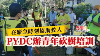 Photo of 在緊急時刻協助救人  PYDC辦青年砍樹培訓