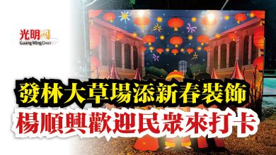 Photo of 發林大草場添新春裝飾  楊順興歡迎民眾來打卡