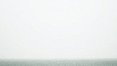 Photo of 【這裡那裡】但风说另一种语言