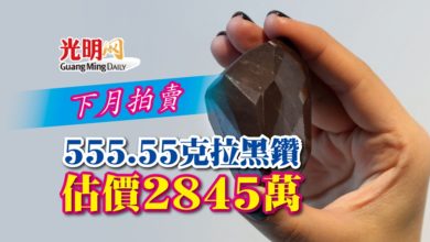 Photo of 下月拍賣 555.55克拉黑鑽估價2845萬