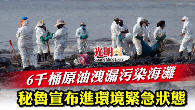 Photo of 6千桶原油洩漏污染海灘  秘魯宣布進入環境緊急狀態