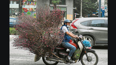 Photo of 買桃花祈好運